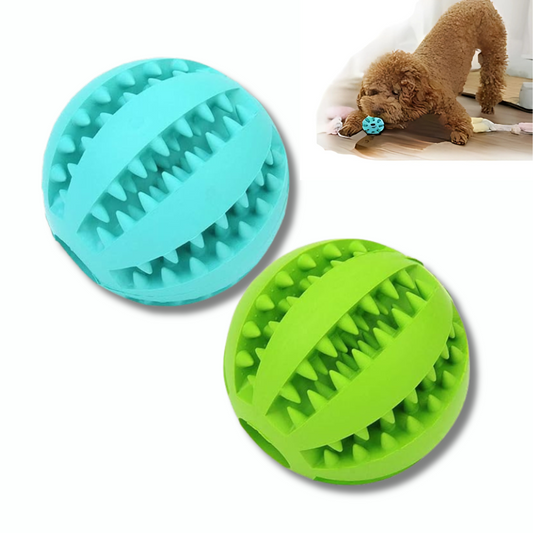 Pelota Masticable para Mascotas