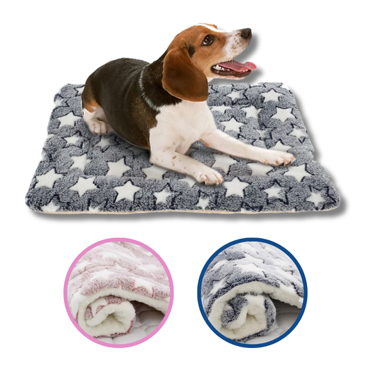 Camitas para Mascotas