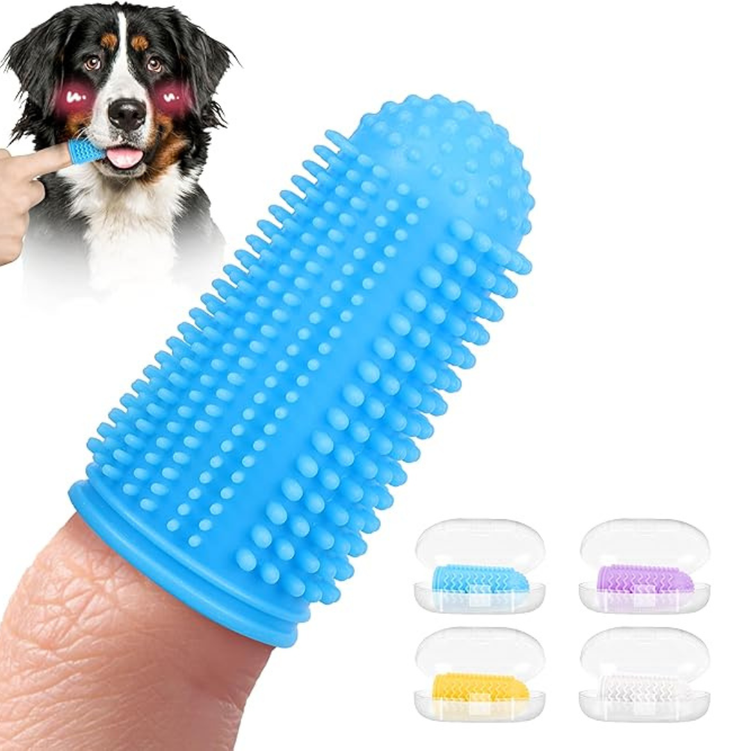 Cepillo dental mascotas