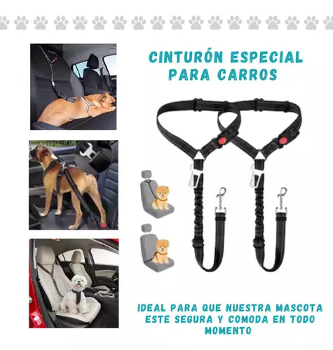 Correa de seguridad para mascotas