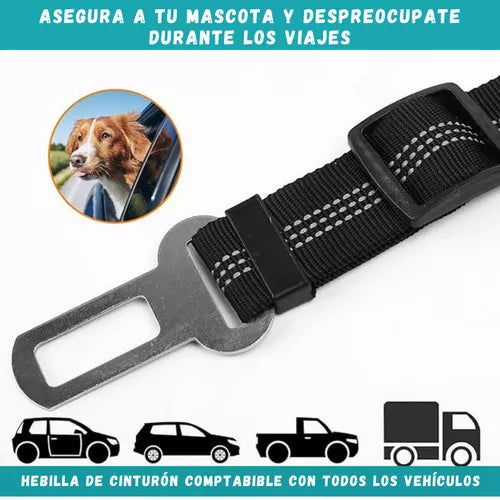 Correa de seguridad para mascotas