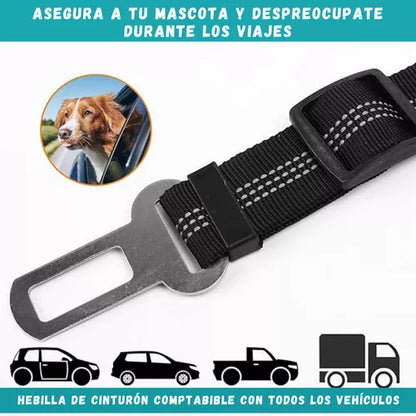 Correa de seguridad para mascotas