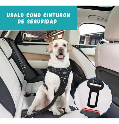 Correa de seguridad para mascotas