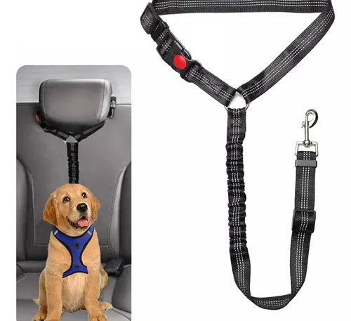 Correa de seguridad para mascotas