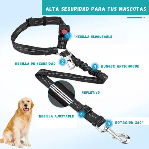 Correa de seguridad para mascotas
