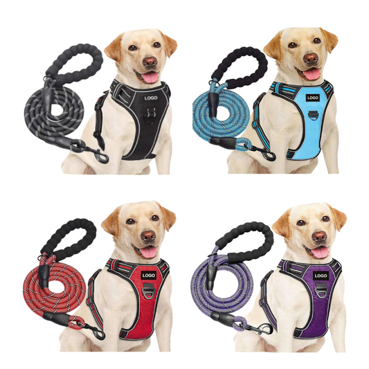 Pechera Táctica + Correa Elástica