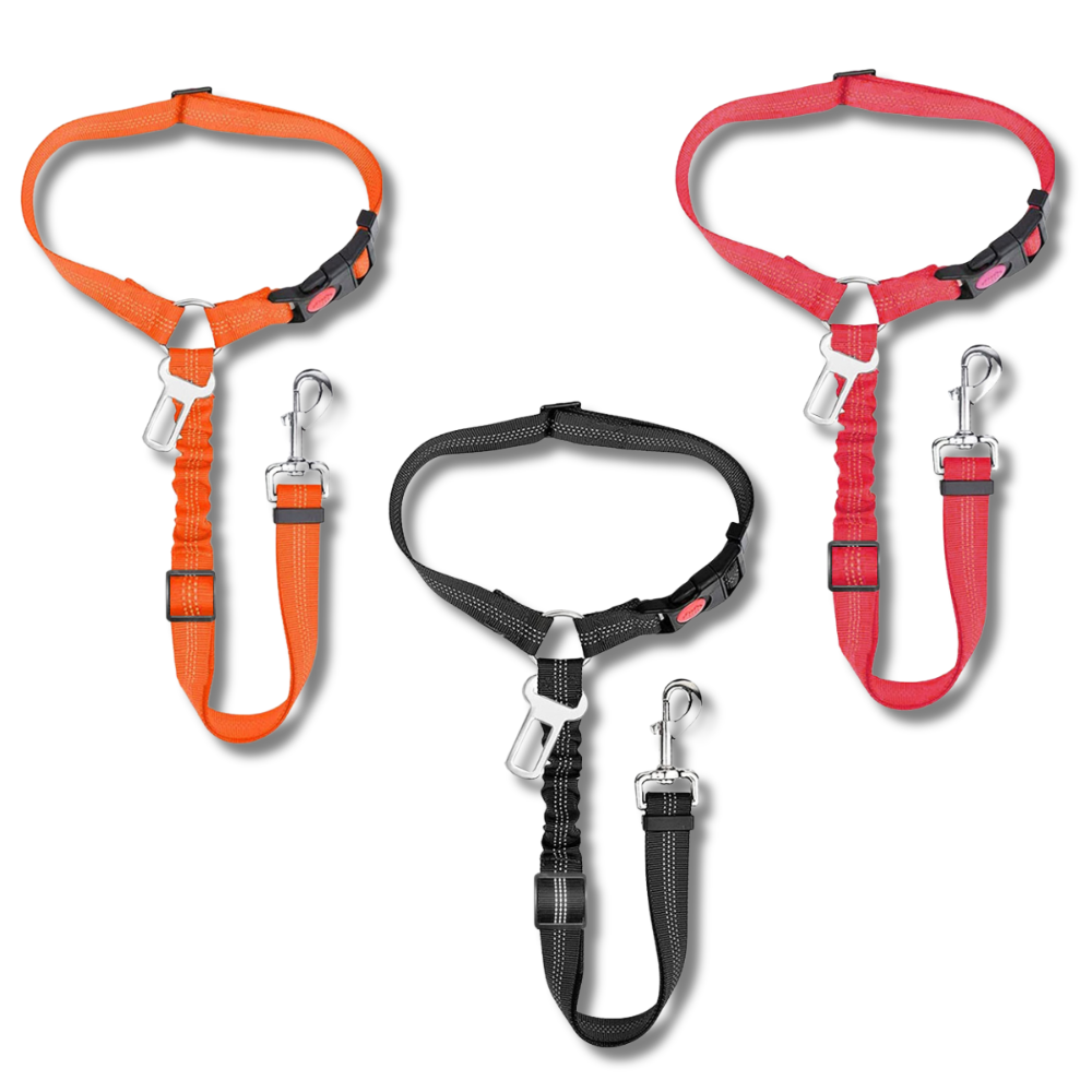Correa de seguridad para mascotas