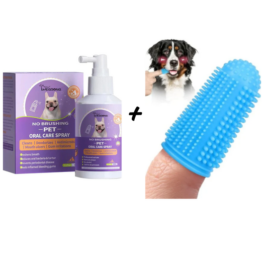 Combo Cepillo + Spray